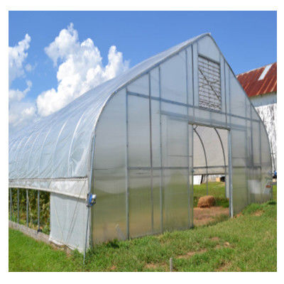 Rainfall 150mm/H Tunnel Greenhouse With Mechanical Ventilation Optional Cooling System