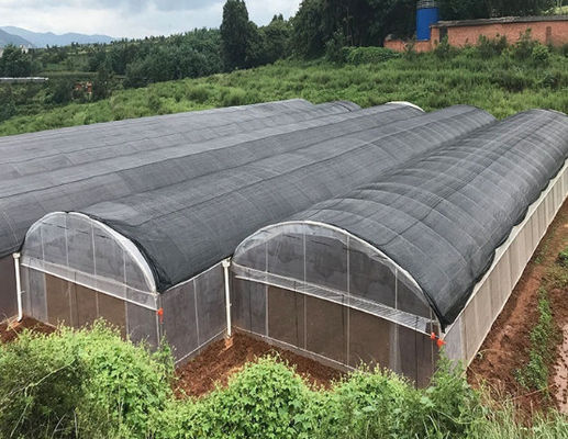 Aluminum Alloy Tomato Farming Tunnel Greenhouse 8*30m Anodizing