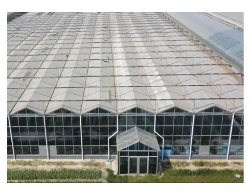 Rectangular Glass Enclosed Tomato Plant Greenhouse With Wind Resistance