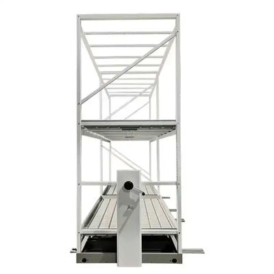 Static / Mobile Hydroponic Ebb And Flow Tables 4*8ft 4*16ft 4*24ft