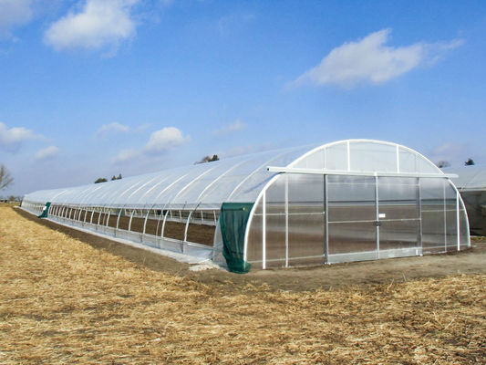 Single Span Tunnel Greenhouse Thickness 12/15/18/20 Microns