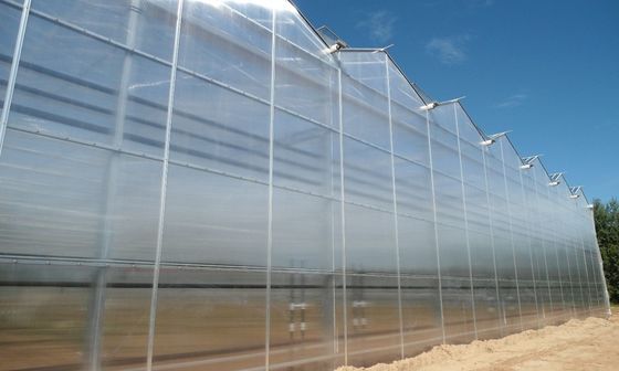OEM ODM Glass Enclosed Plant House Greenhouse Wind Resistance