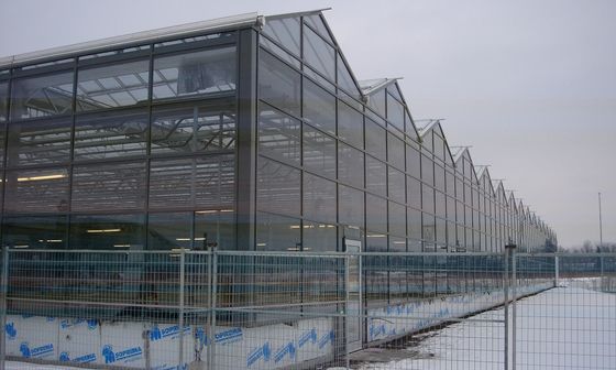 UV Protection Rectangular Glass Covered Greenhouse Water Resistance