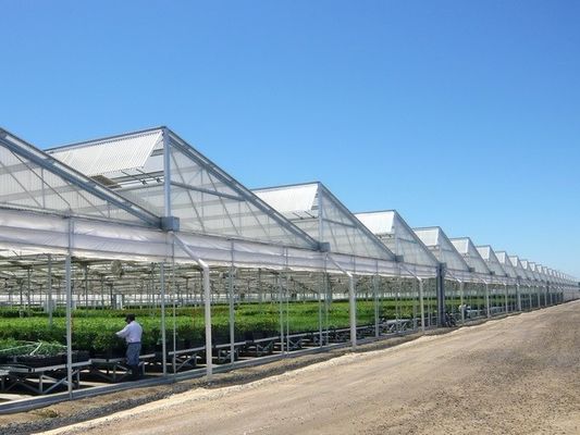 Multi Span Plastic Film Greenhouse 10X30m With Zinc Coating Frame