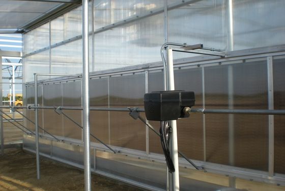 Plastic Film Polytunnel Greenhouse Sawtooth Greenhouse 10X30m