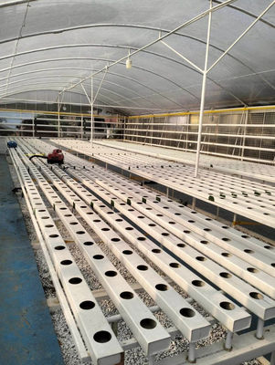 Automatic Temperature Control Hydroponic System for Oxygenation and Manual Monitoring