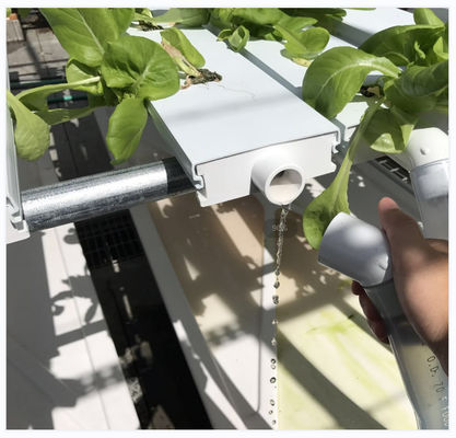 Automatic Temperature Control Hydroponic System for Oxygenation and Manual Monitoring